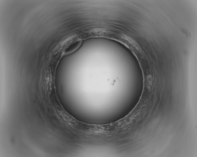 X0000115711111200911121419