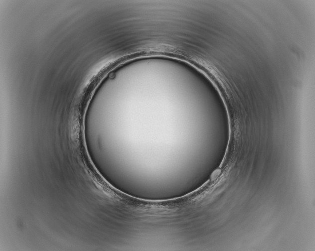 X0000115711115200911121419