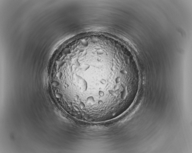 X0000115711117200911121419