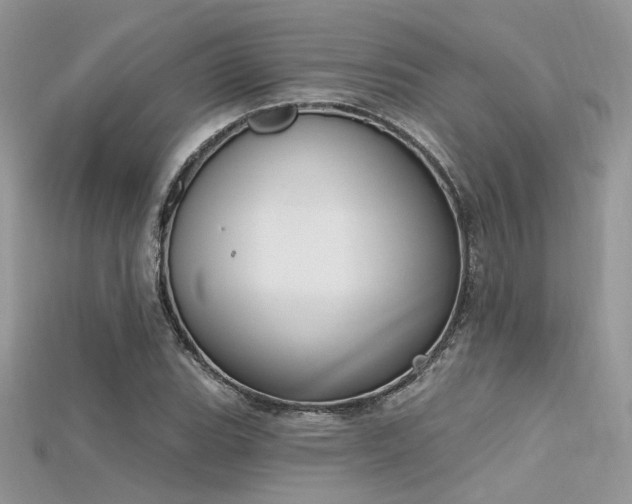 X0000115711119200911121419