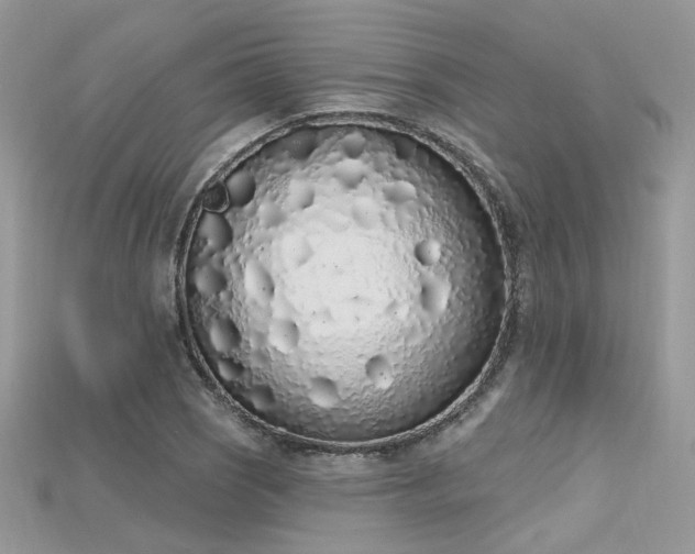 X0000115711121200911121419