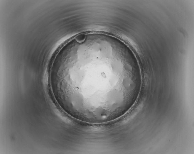 X0000115711125200911121419