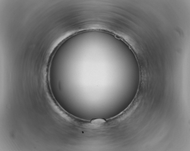 X0000115711134200911121420