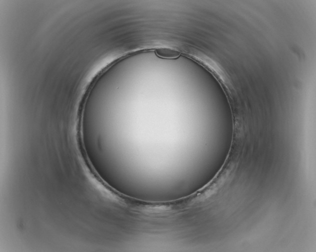 X0000115711135200911121420