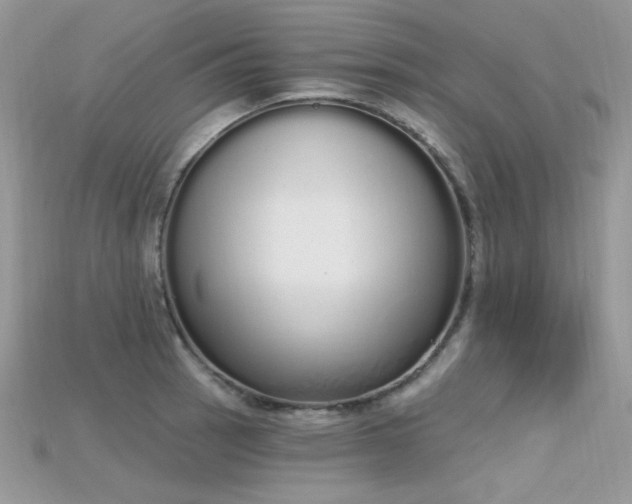 X0000115711137200911121420