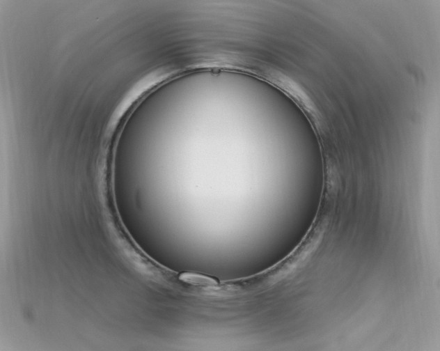 X0000115711138200911121420