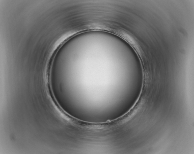 X0000115711141200911121420