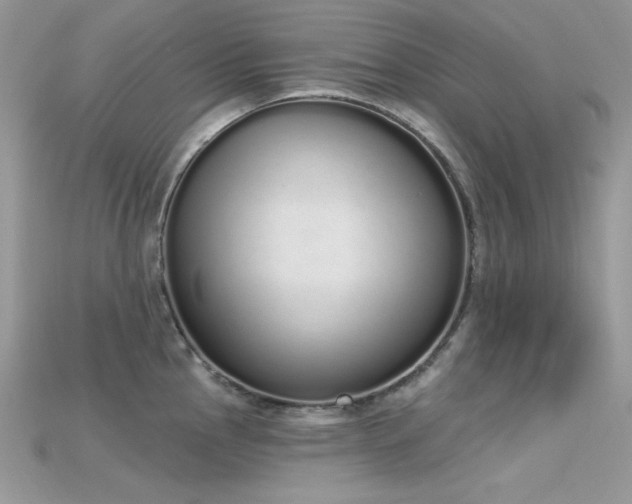 X0000115711145200911121420