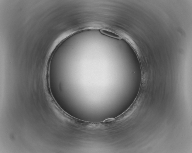 X0000115711146200911121420