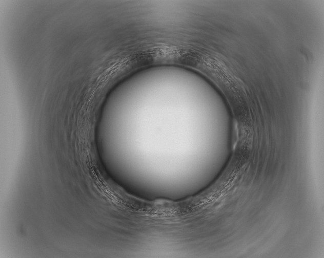 X0000115711153200911121419