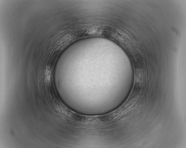 X0000115711154200911121419