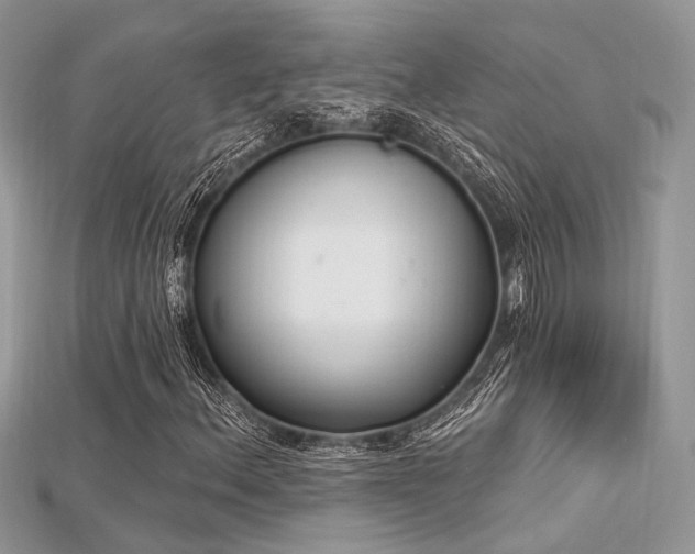 X0000115711156200911121419