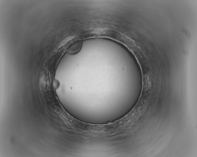 X0000115711158200911121419