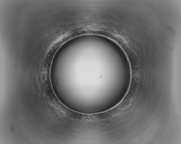 X0000115711159200911121419