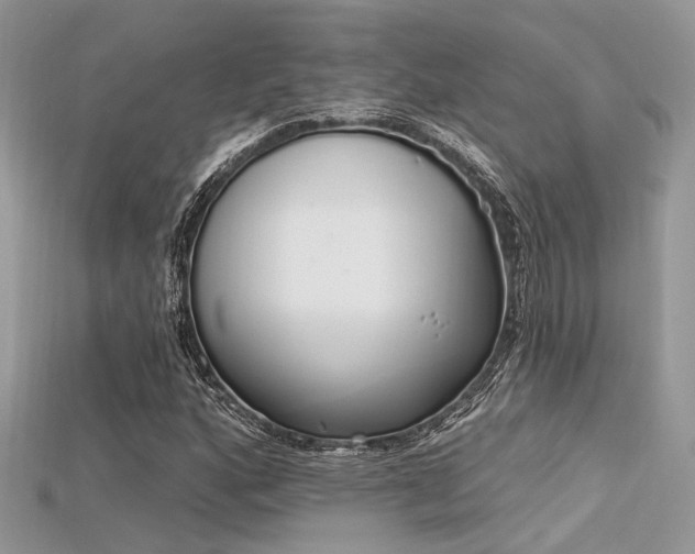 X0000115711160200911121419