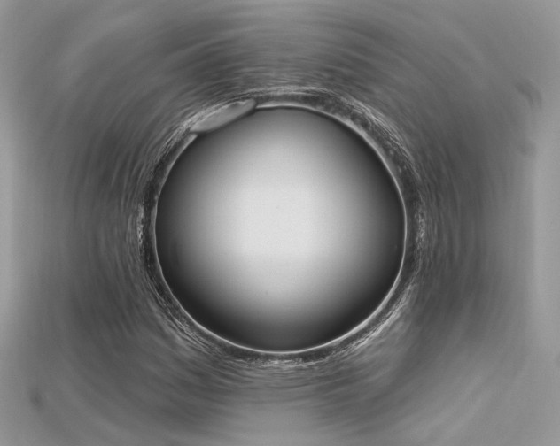 X0000115711161200911121419