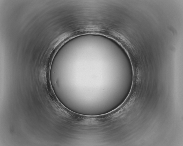 X0000115711162200911121419