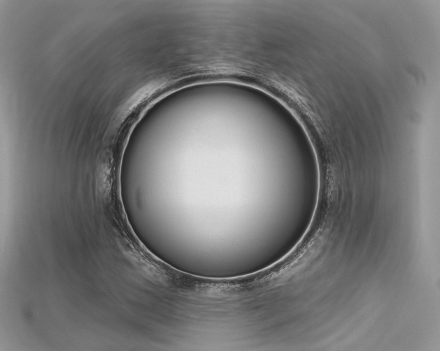 X0000115711163200911121419