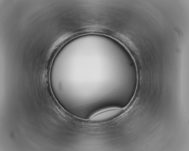 X0000115711164200911121419