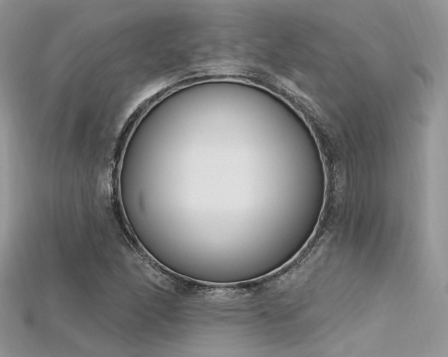 X0000115711166200911121419