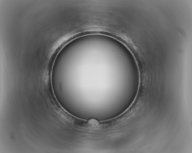 X0000115711167200911121419