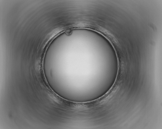 X0000115711170200911121419