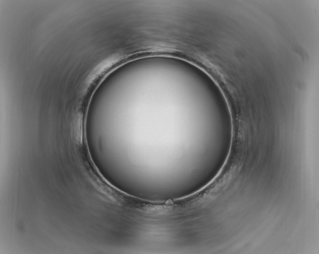 X0000115711171200911121419