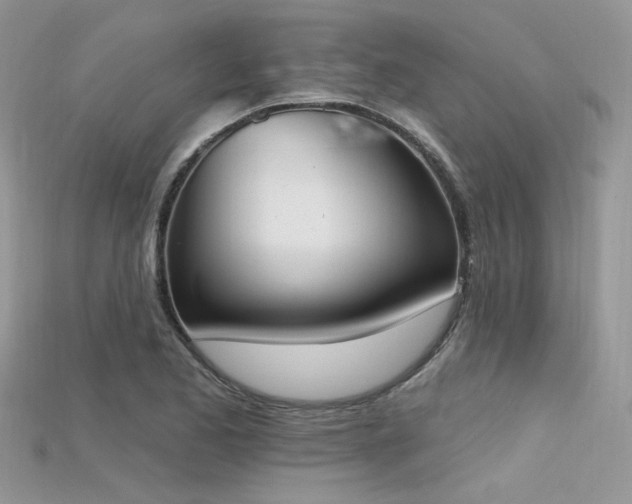 X0000115711173200911121419