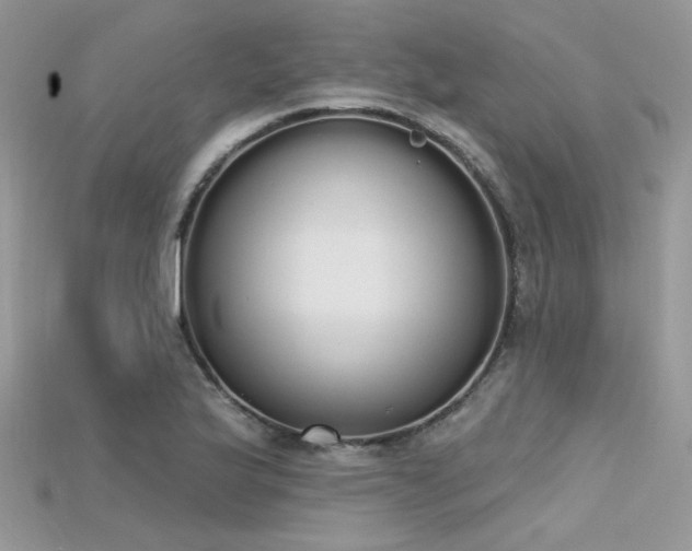 X0000115711175200911121419