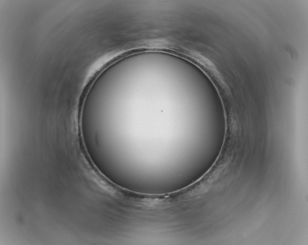 X0000115711176200911121419