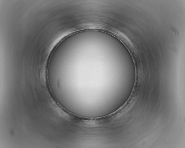 X0000115711182200911121419