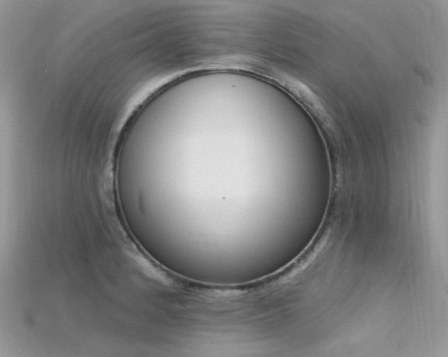 X0000115711184200911121419