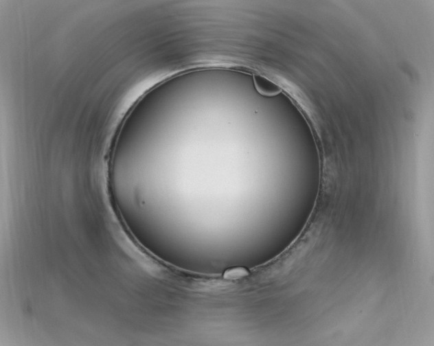 X0000115711187200911121419