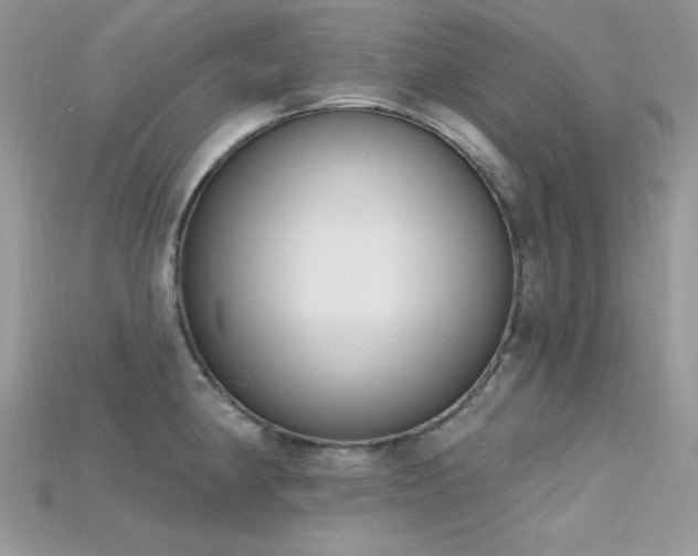 X0000115711190200911121419