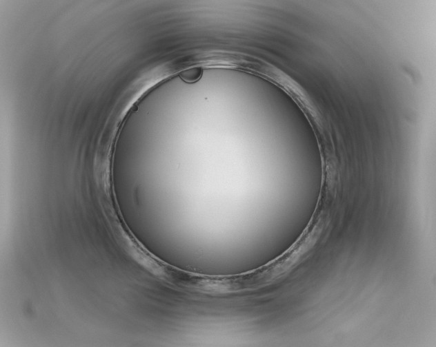 X0000115711194200911121419