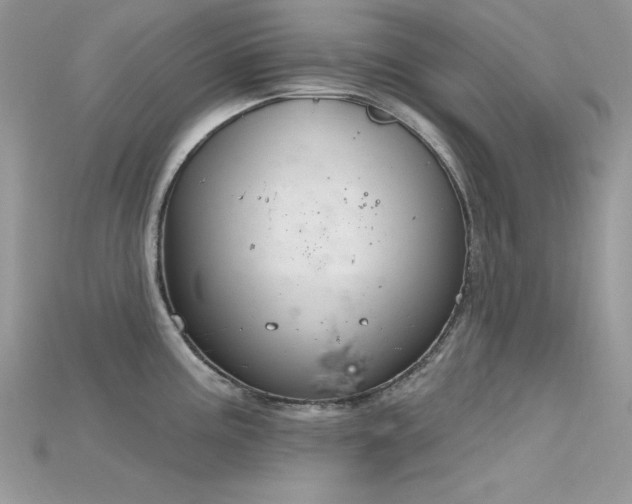 X0000115711195200911121419