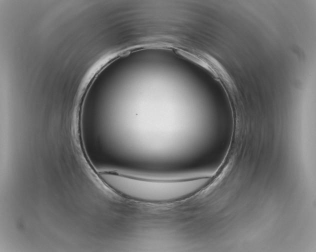 X0000115711196200911121419