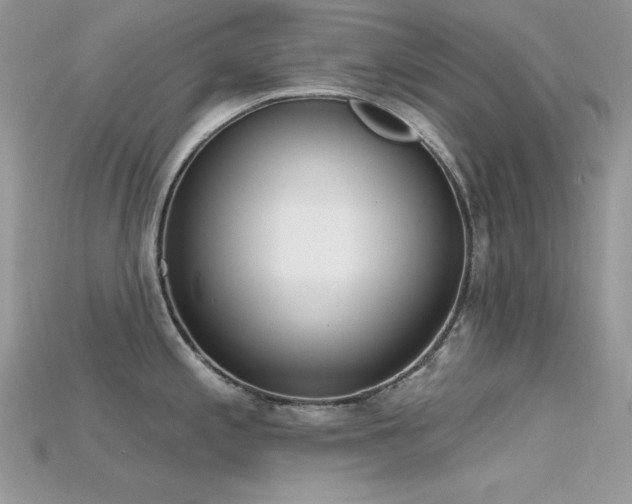 X0000115711197200911121419