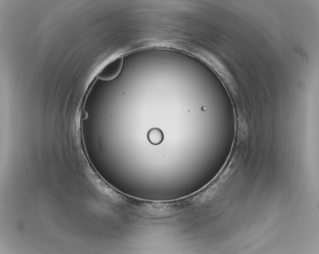 X0000115711198200911121419