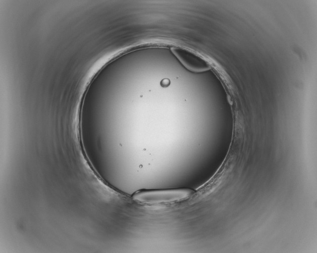 X0000115711199200911121419