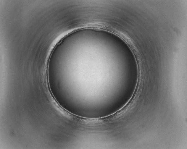 X0000115711200200911121419