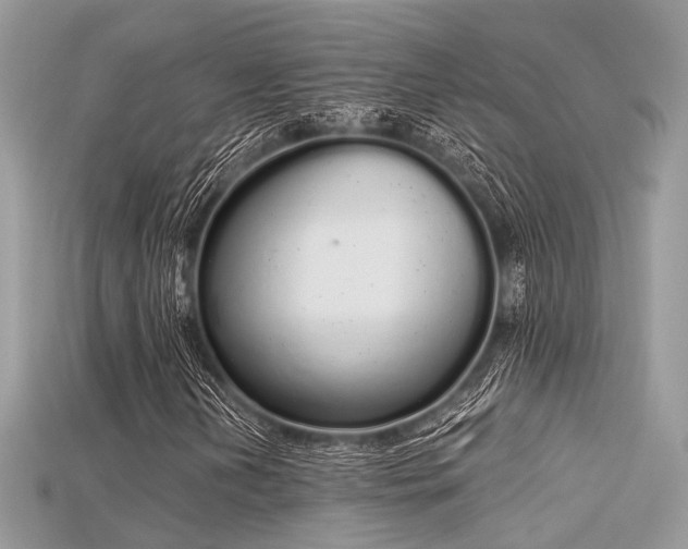 X0000115711202200911121418