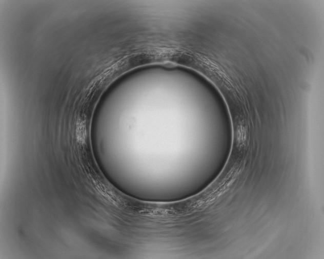 X0000115711204200911121418