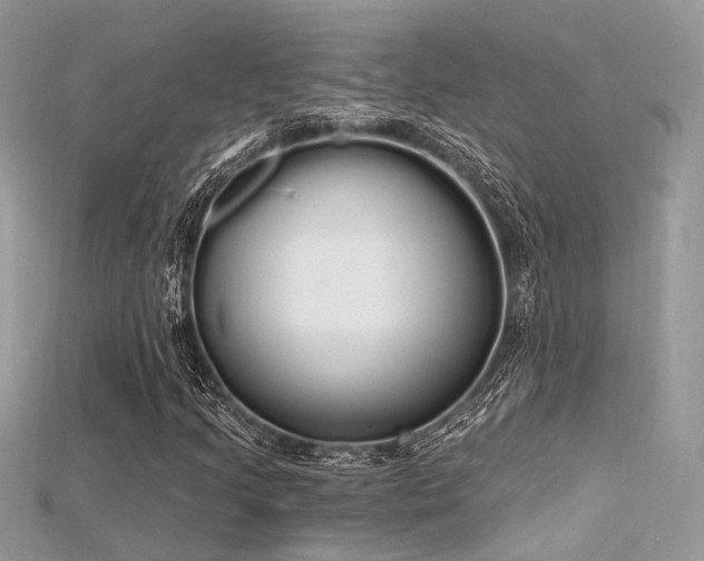 X0000115711205200911121418