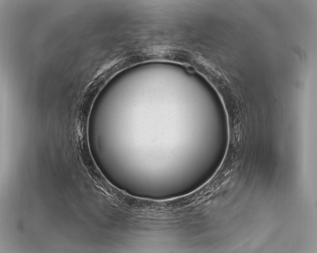 X0000115711206200911121418