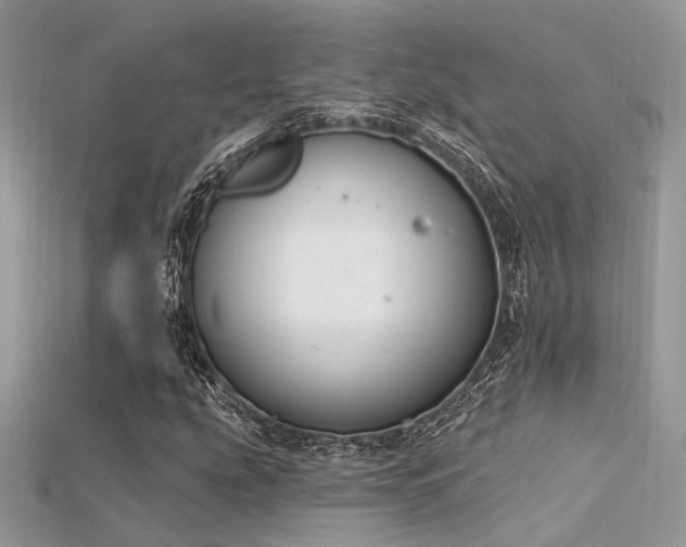 X0000115711207200911121418