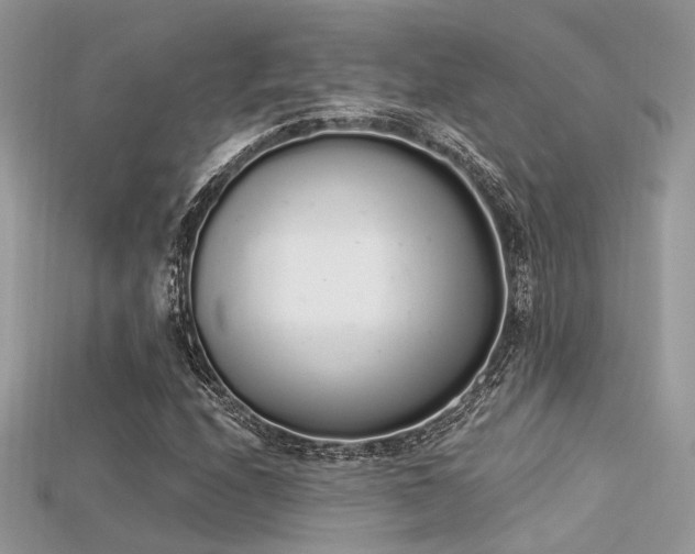 X0000115711208200911121418