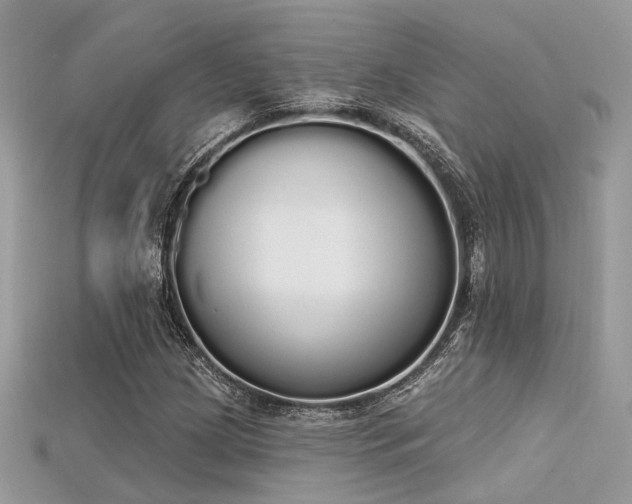 X0000115711209200911121418