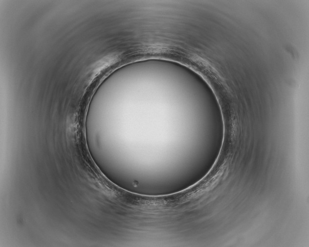 X0000115711210200911121418