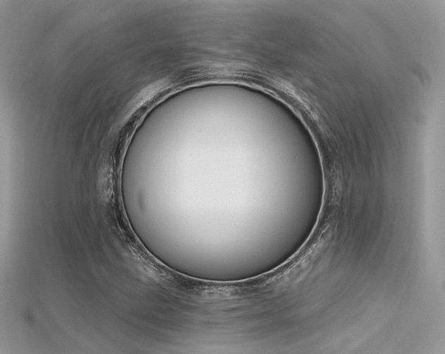 X0000115711211200911121418